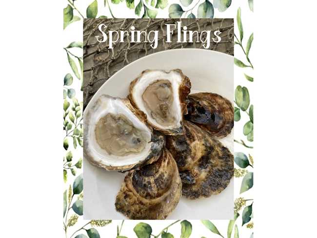 Spring Fling Oyster 25 count